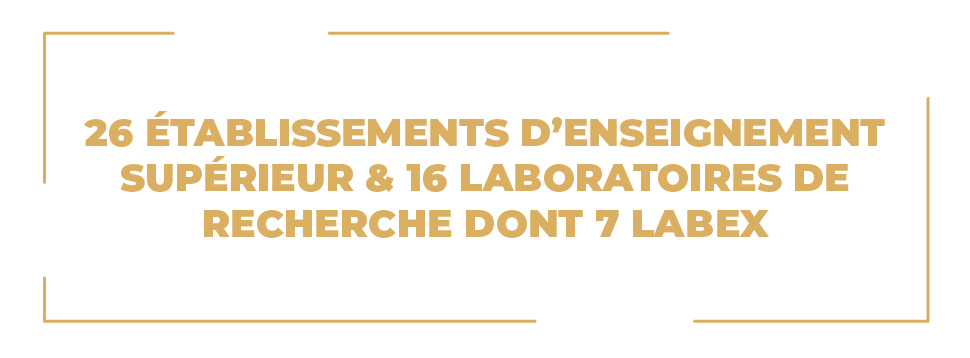 01099aa5-4a0d-49b6-8d76-0f624eba8644