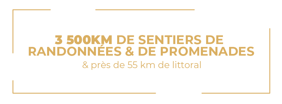 b19adbf9-8dee-4be3-8f5e-7b6b20f47d1c